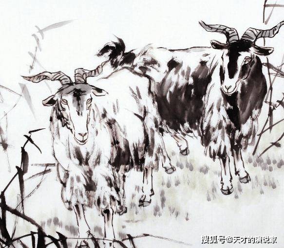 十二生肖中，人见人爱的生肖—兔