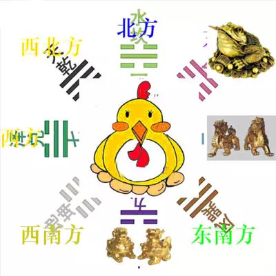十二生肖财神方位，绝佳解释落实