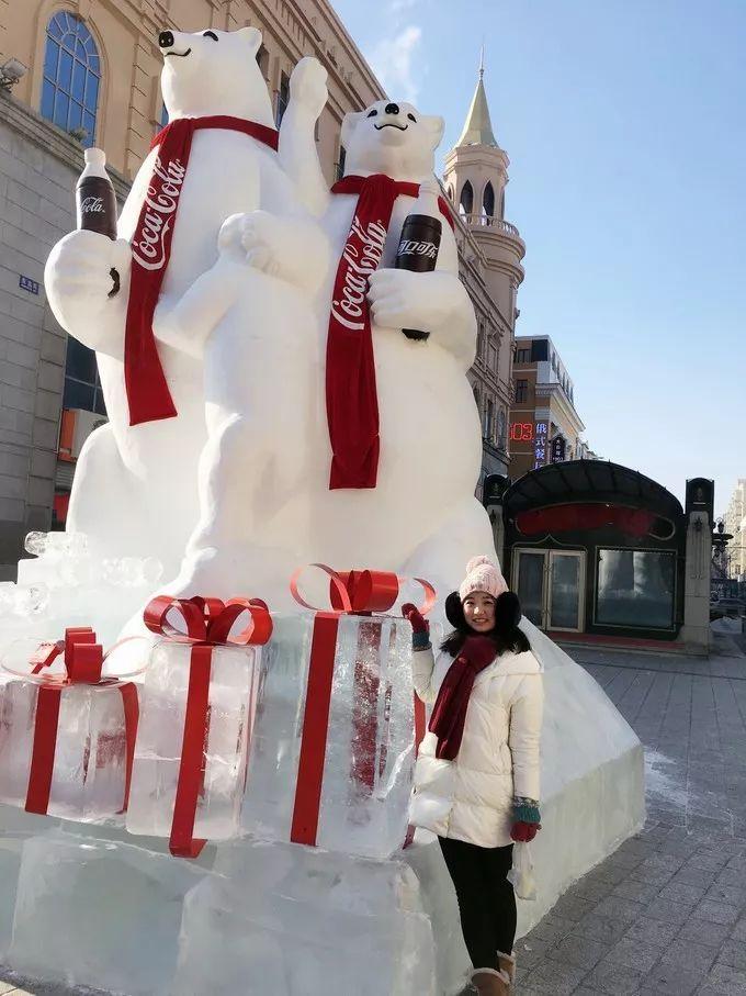 解析大地万千与生肖之谜，精准揭秘与结果落实