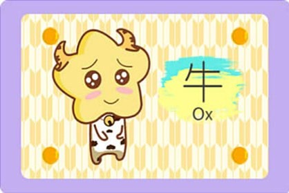 二月属什么生肖，深度解析与智慧思考