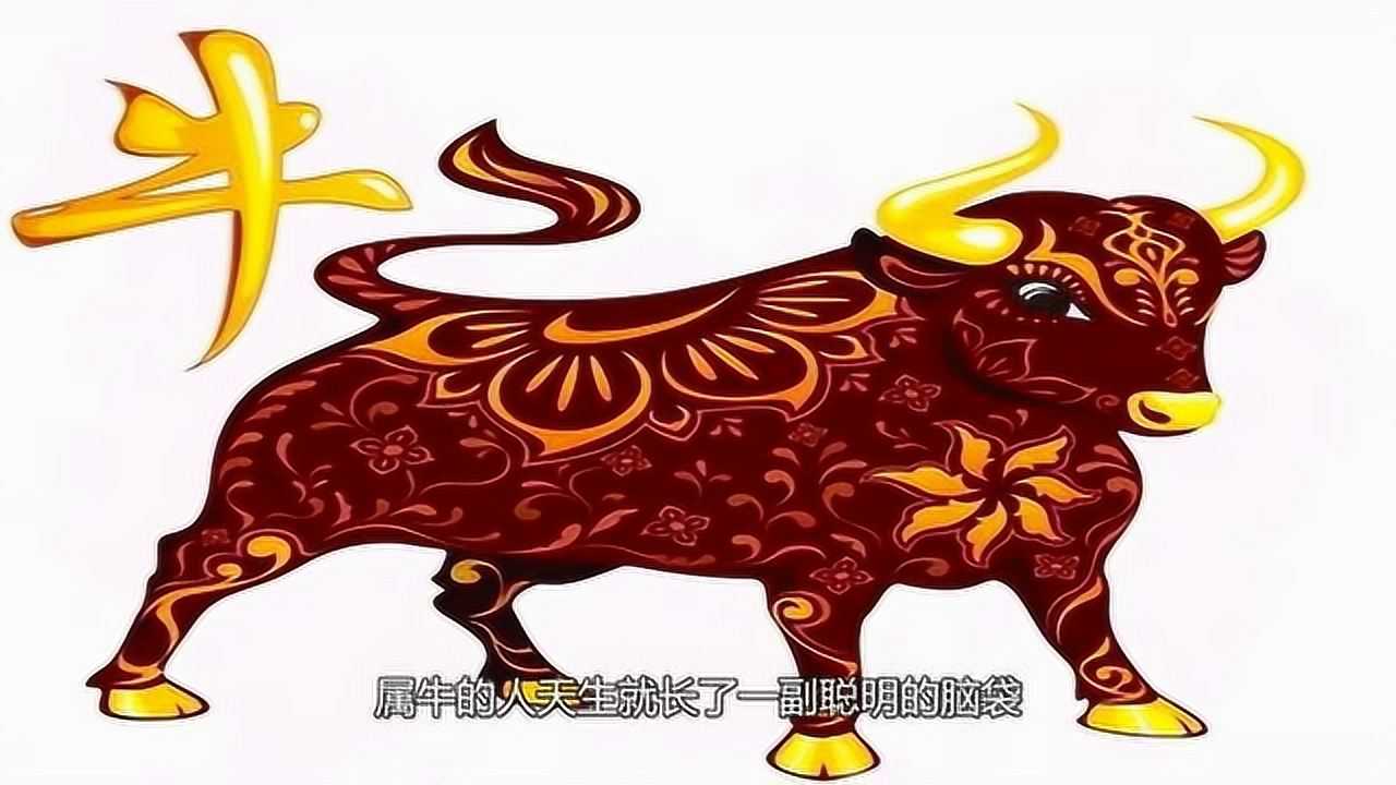 一气冲天是什么生肖，沉稳作答落实解释