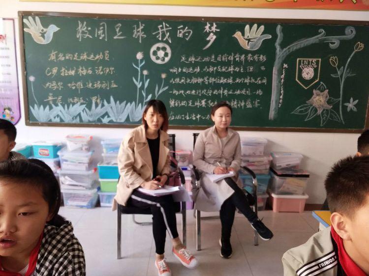 十二生肖谁是铁扇公主，精选解析与落实的详细结果