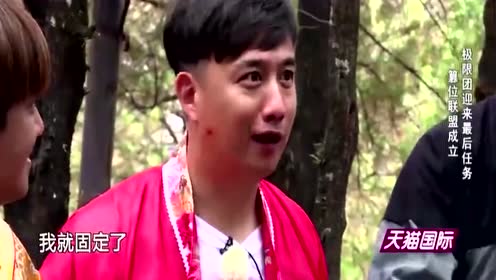 急如风火，揭秘背后的动物谜团