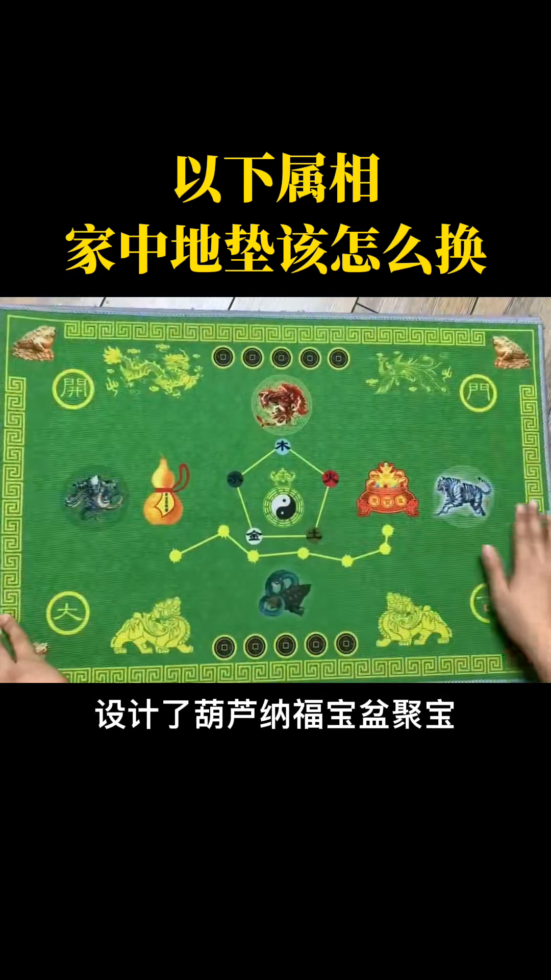 秋菊绽放，解谜三二开打中的生肖智慧—落实与自然和谐共生的哲学