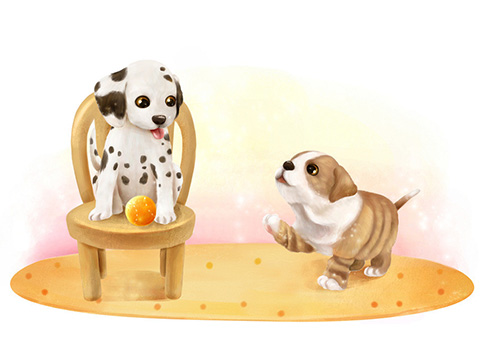 生肖属狗的年份，沉稳作答落实解释