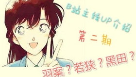 五花大绑的谜题与生肖之谜，友爱作答的智慧解读