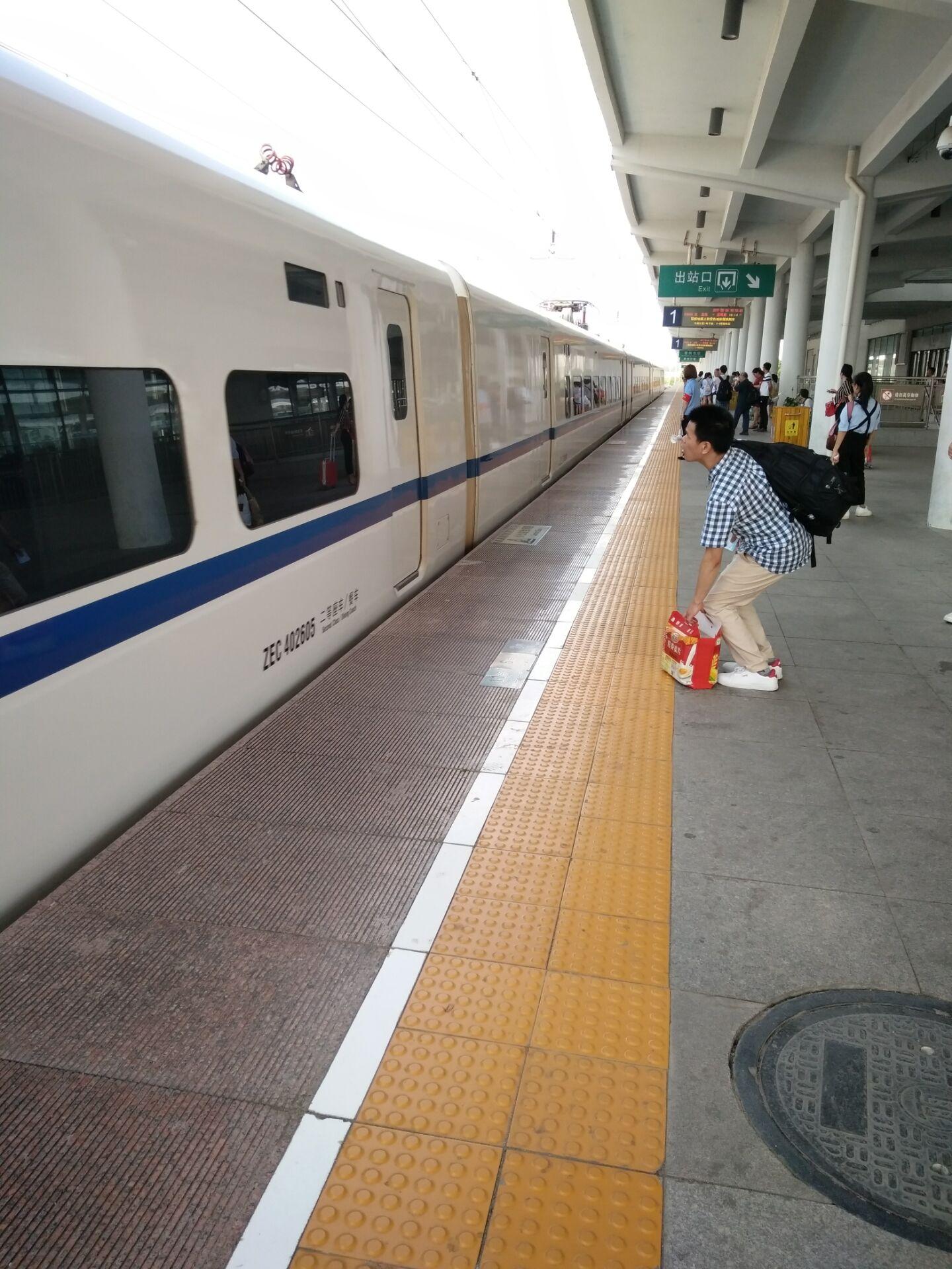 早睡早起的生肖，社会进步与文化解析