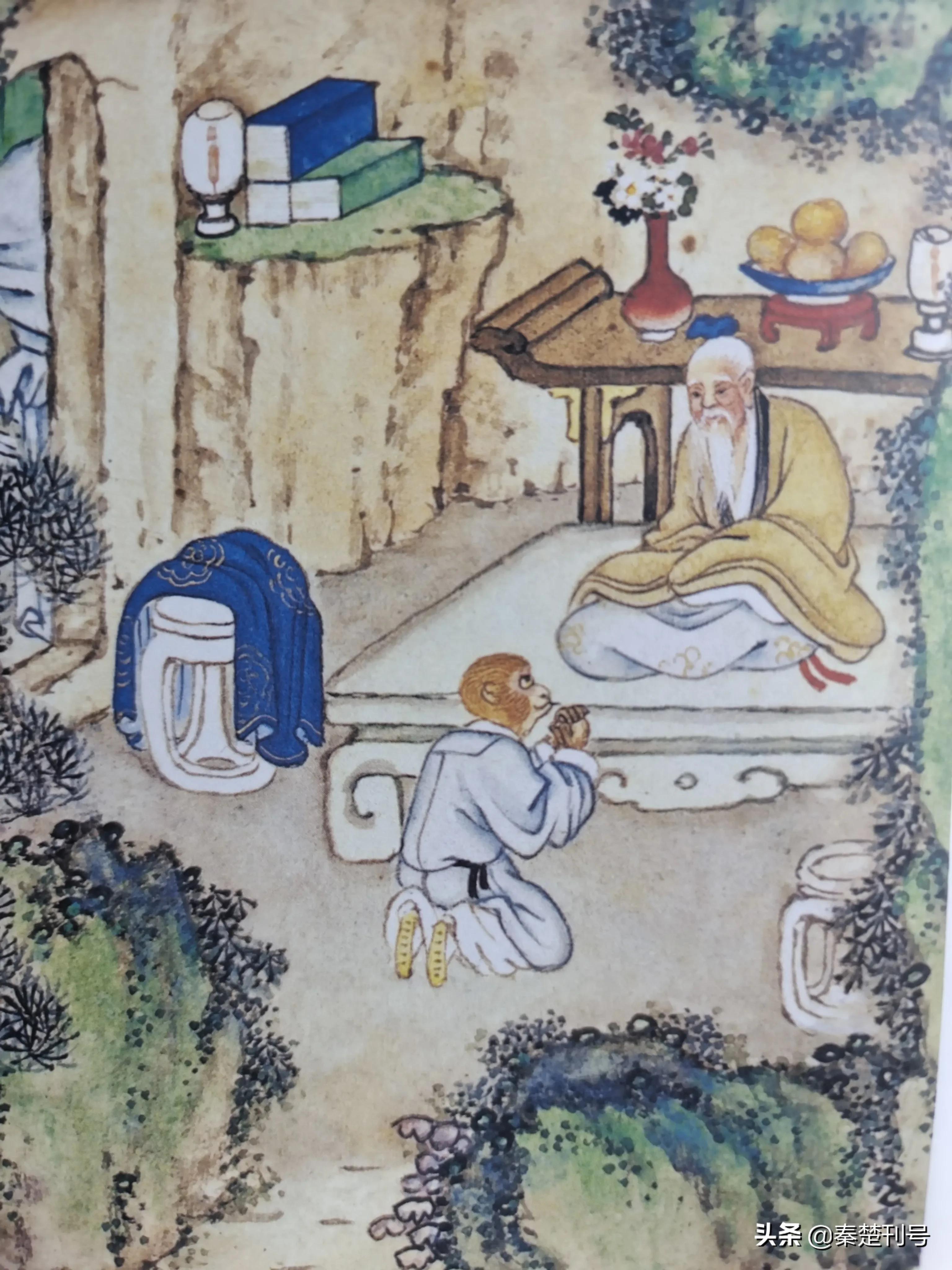 金石不渝值千金，生肖之谜与人生哲理的深度探索