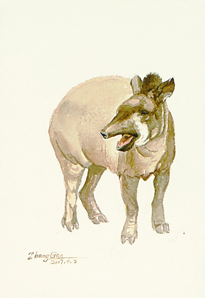 张璞玉猜一动物?沉稳作答落实解释