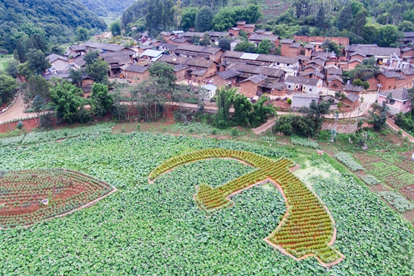 谜底揭晓，七月大地金灿灿—生肖之谜的终极答案