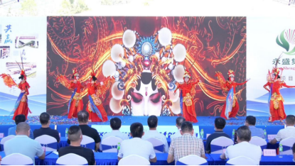 众志成城，共筑梦想的蚁群