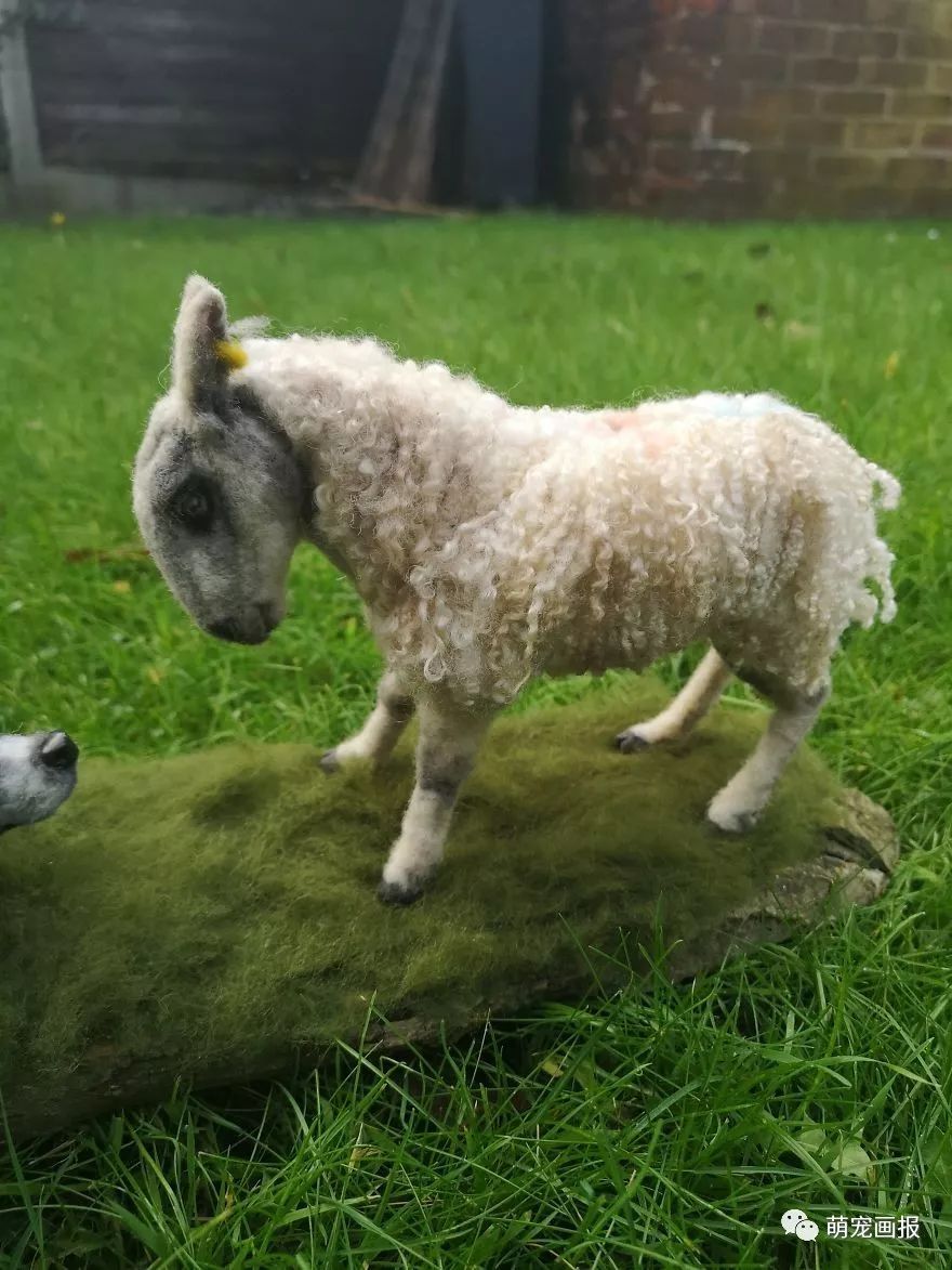 心灵手巧打一生肖动物，词语的深层释义与文化解读