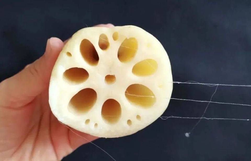 藕断丝连代表什么生肖，谜底即将揭晓