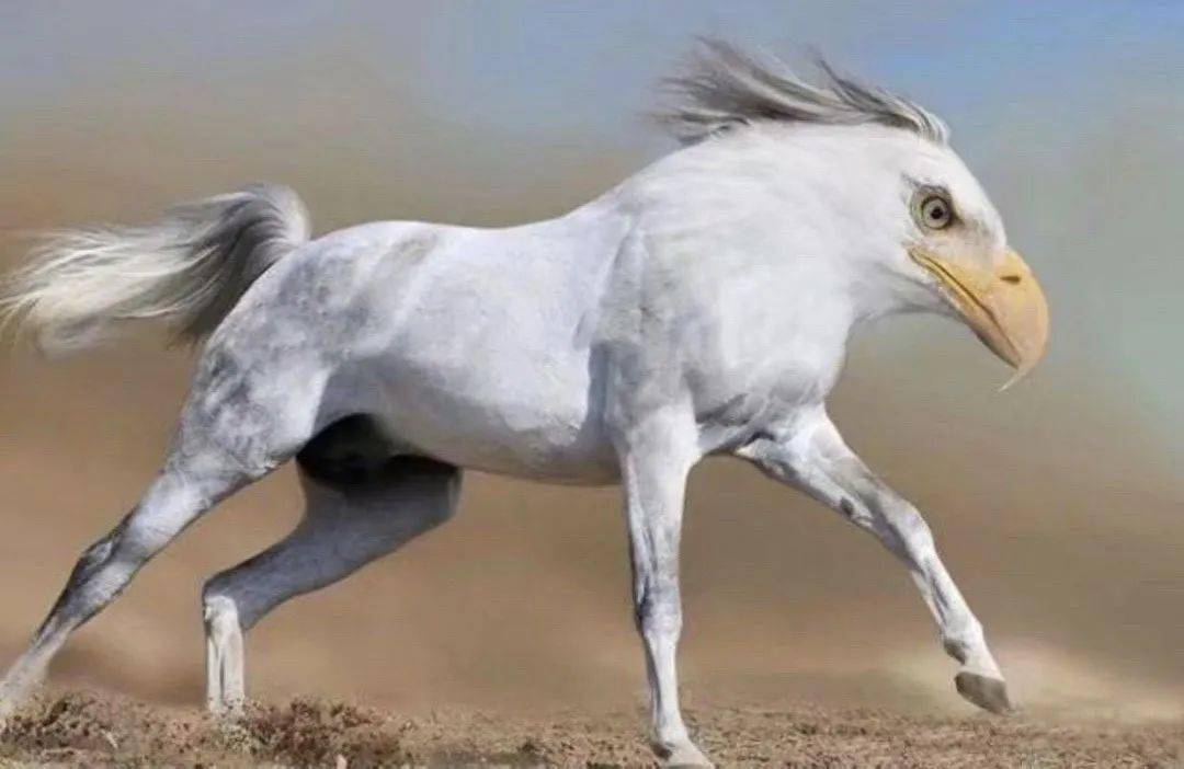 活灵活现猜一动物，背后的坚韧与不屈