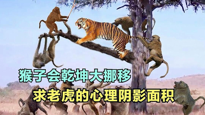 虎猴相会，揭秘生肖之谜