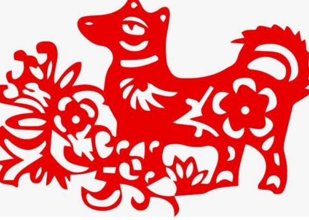 鸡犬不宁猜一生肖，揭秘如何选择并落实正确的