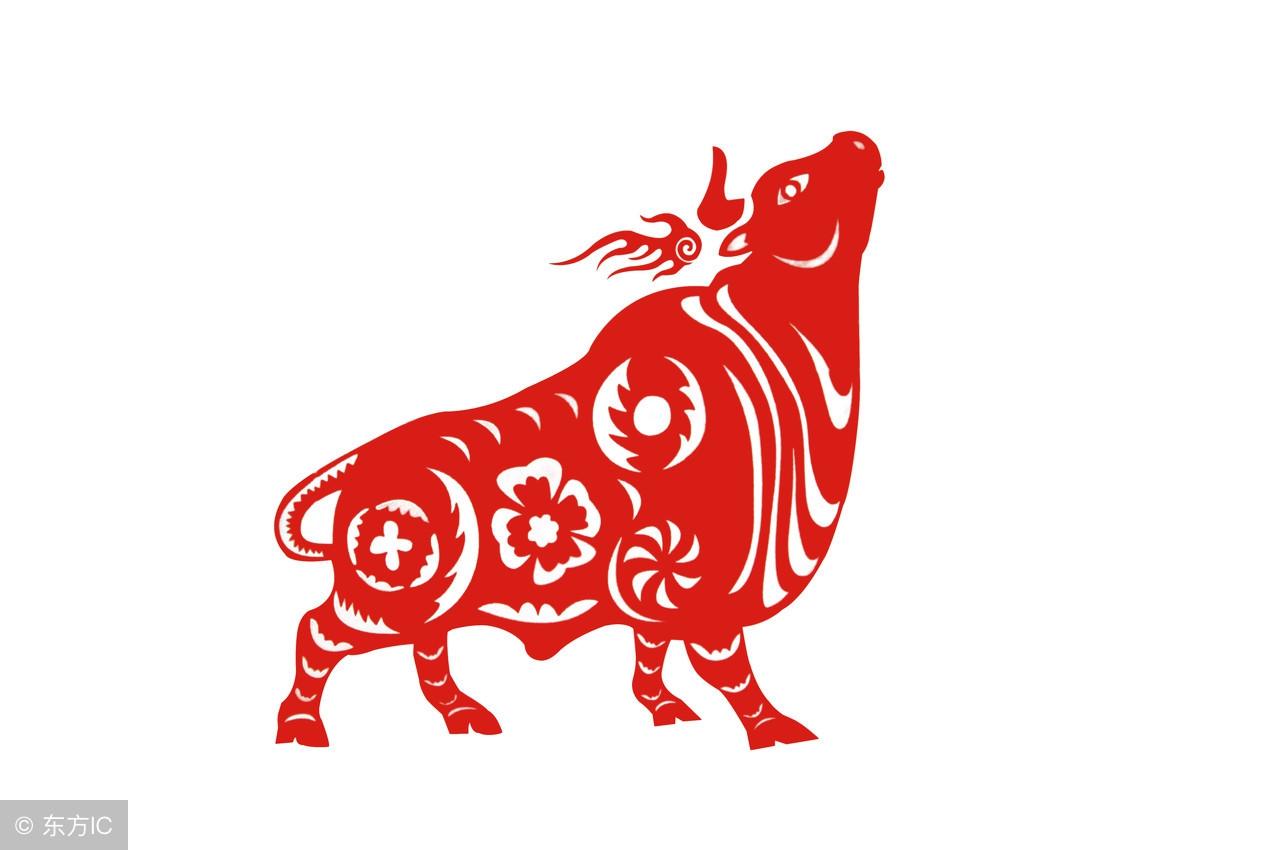 千载难逢猜一生肖，古老智慧与现代寓言的交织