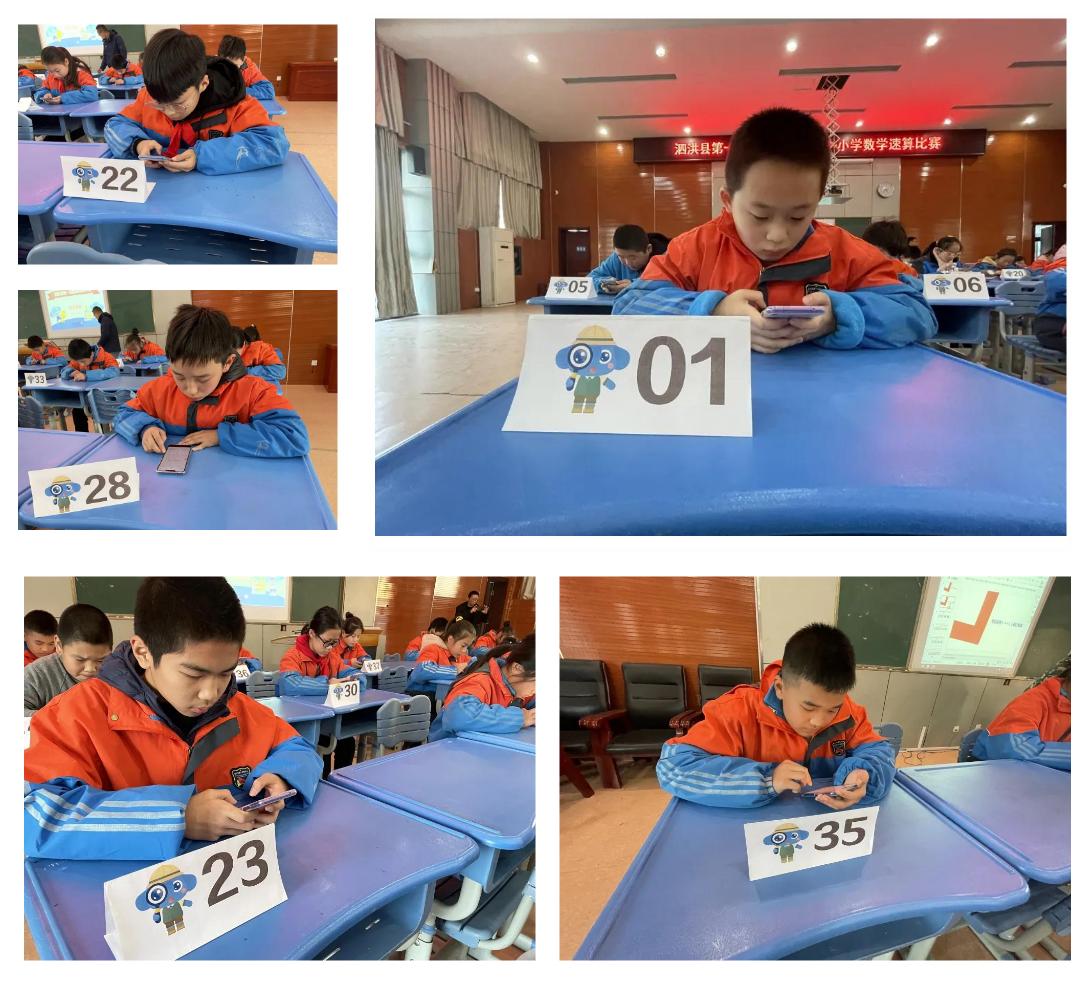 班金波凉猜一动物，智慧与趣味的奇妙碰撞