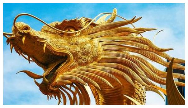 龙跟什么生肖配对最好，正确解释与落实