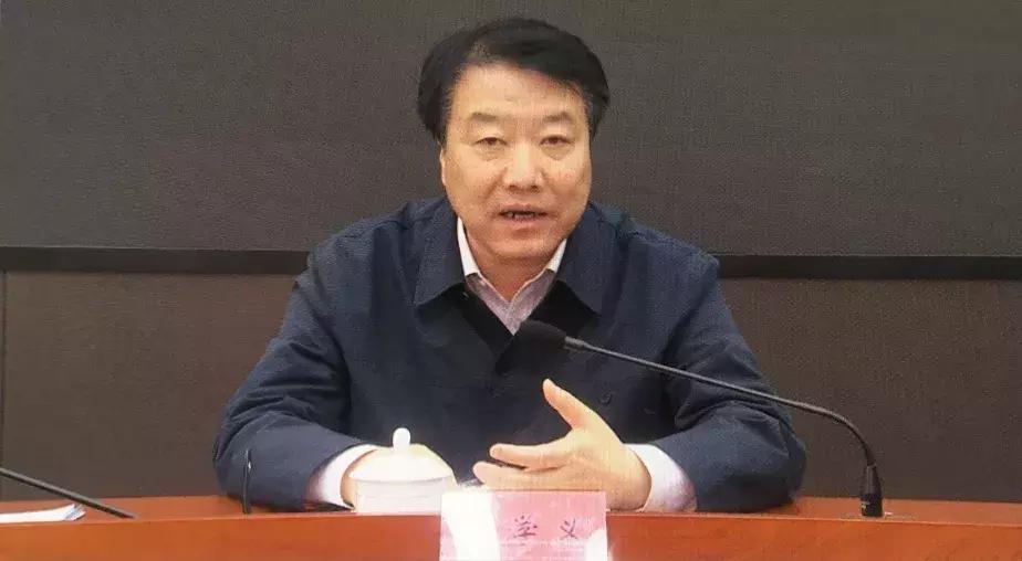 胆小动物与生肖的精准解析，落实精神在生活中的体现