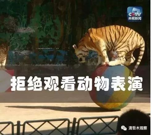 探寻谜底，水远山遥难信实猜一动物