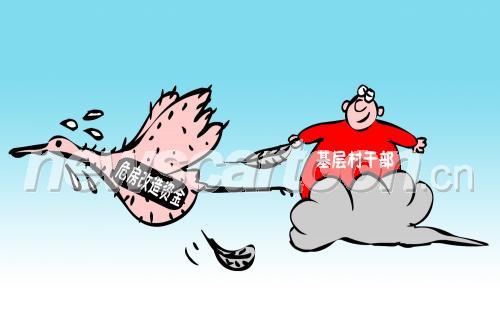 雁过拔毛，揭秘正确生肖的智慧谜题