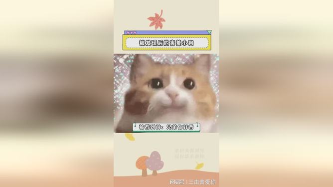 逢场作戏猜一动物，一场文化与智慧的温馨对话