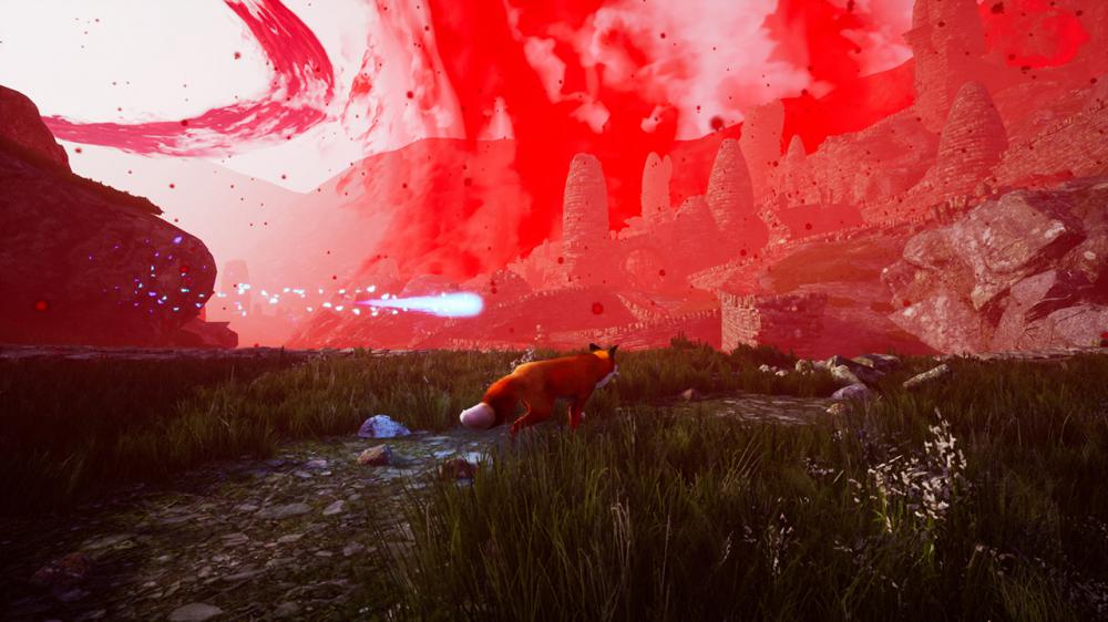 南方之灵，生肖与文化的深度交融