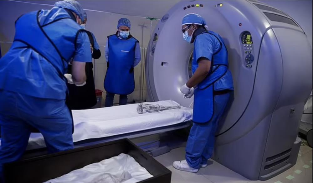 谜题揭秘，白马素车猜一生肖