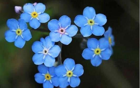 身无分文猜一生肖，谜底即将揭晓