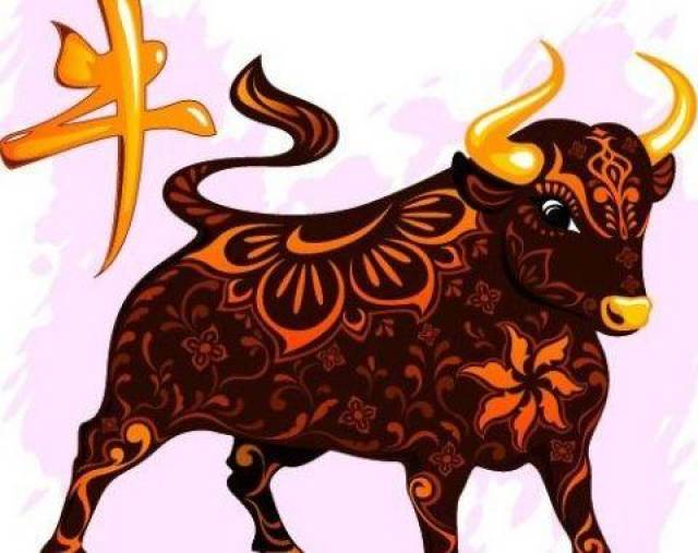 揭秘最自信的生肖，属虎人的精选解析与落实的详细结果