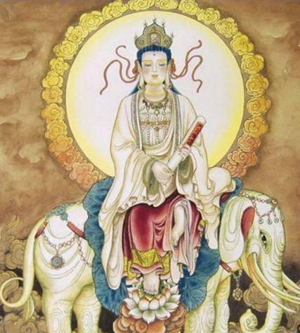 普贤菩萨与生肖的神秘联系，沉稳作答，落实解释