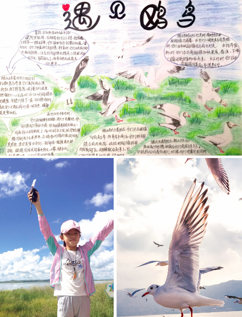 揭秘野外风光所指的生肖—探寻生肖与自然之美的奇妙联系