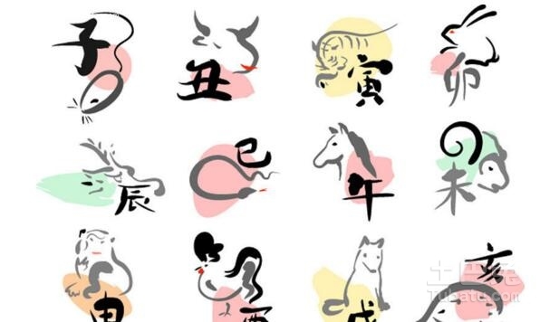 随波逐流，揭示生肖背后的深层含义