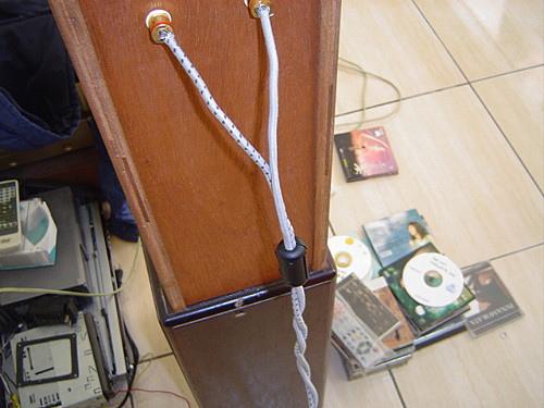 推崇备至，揭秘生肖中的独特魅力