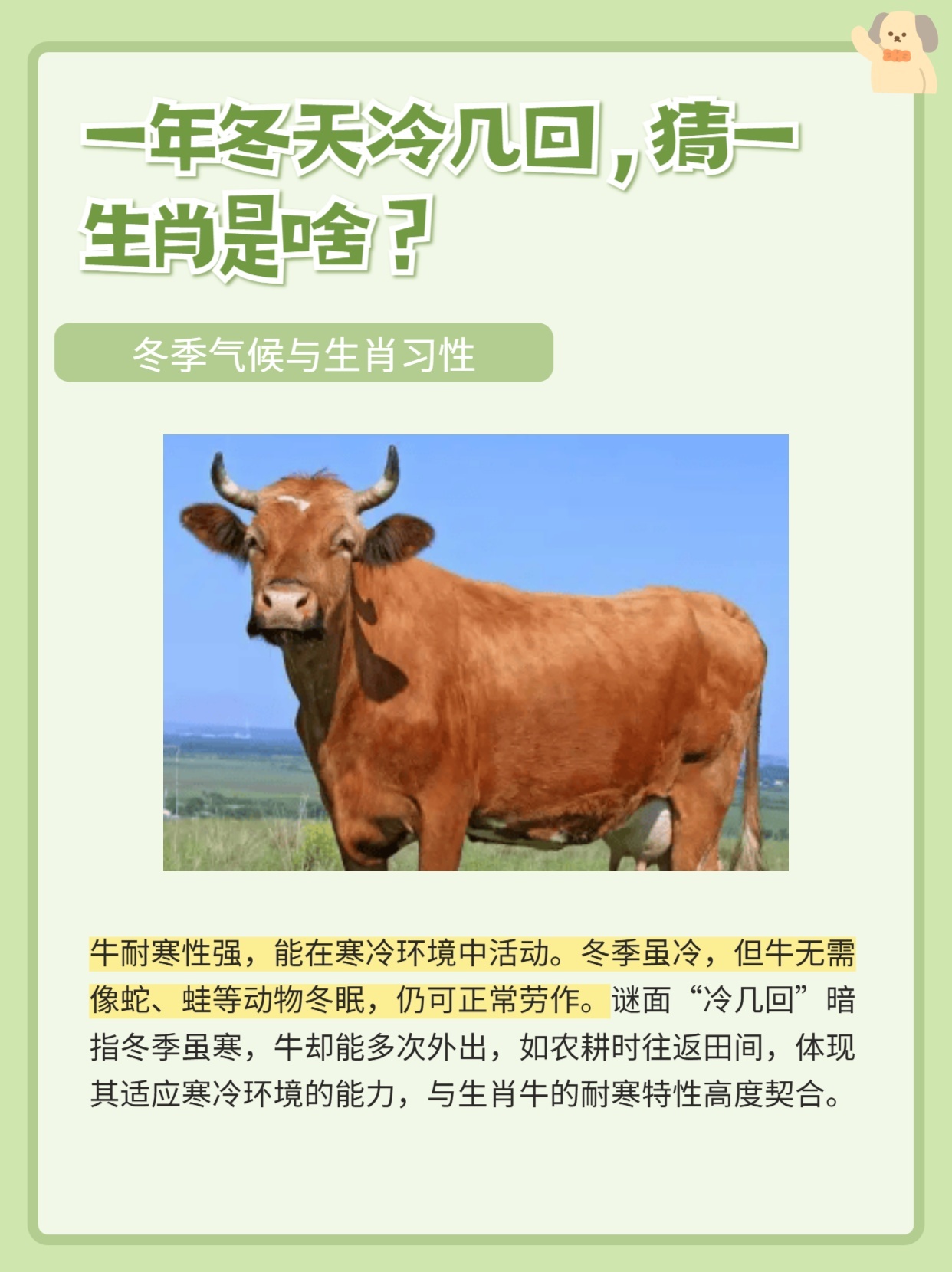 寒冬腊月打一正确生肖，新型作答落实解释