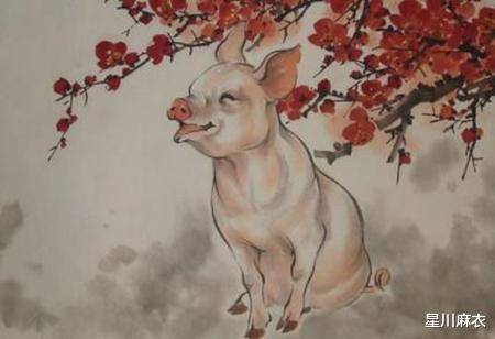 满腔热忱是指什么生肖，的精准解答与落实精神