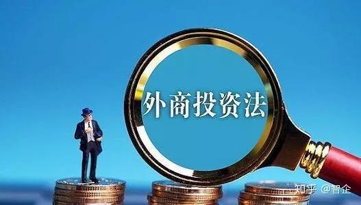 阴阳八卦是什么生肖，非凡解释落实