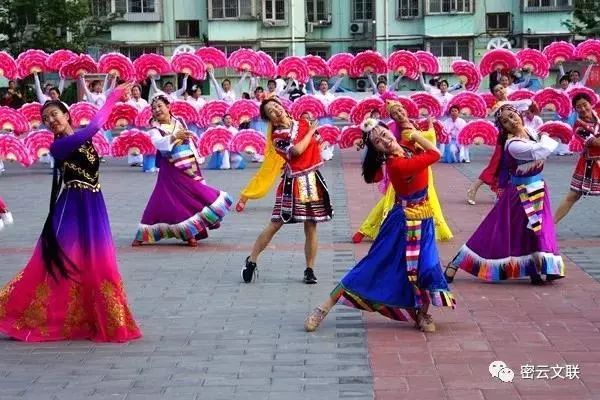 东西两宫打一生肖，解释与落实的和谐共舞