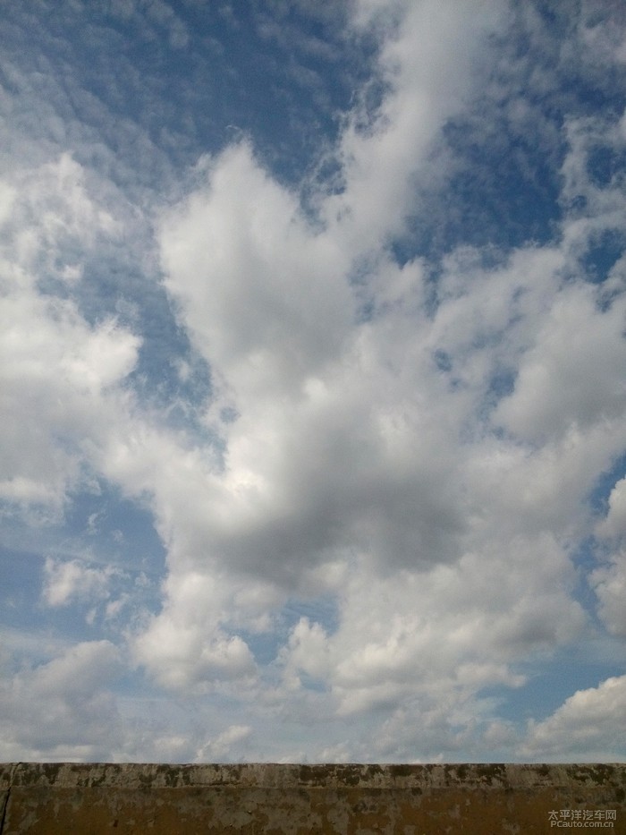 天高云淡猜一生肖，友爱作答落实解释