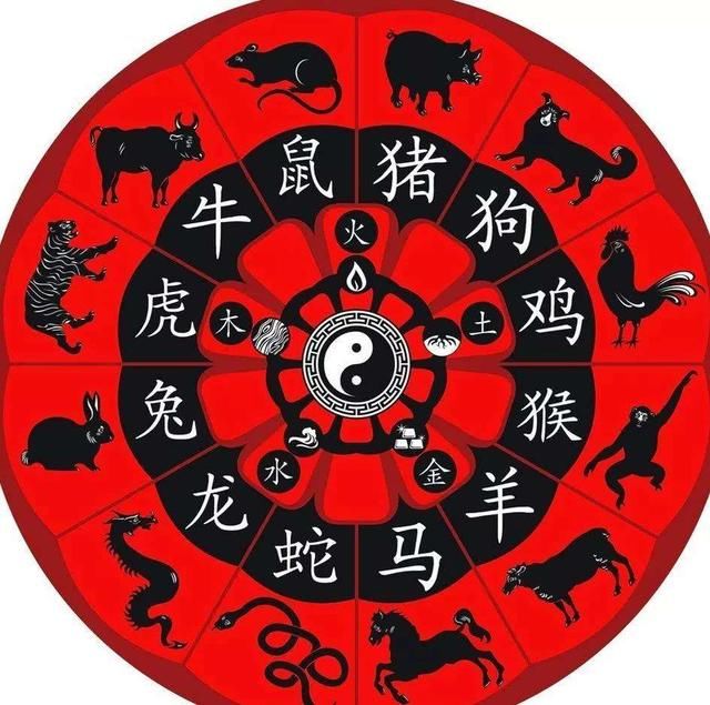 十二生肖对应十二地支，新型作答落实解释