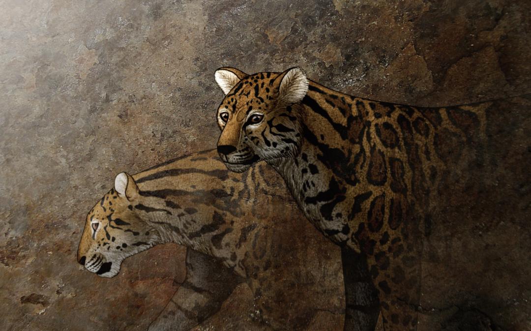 铜筋铁骨，生肖之谜的深层文化解读