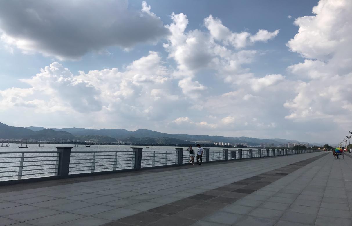 千晨之行是什么生肖，全面揭晓解释落实