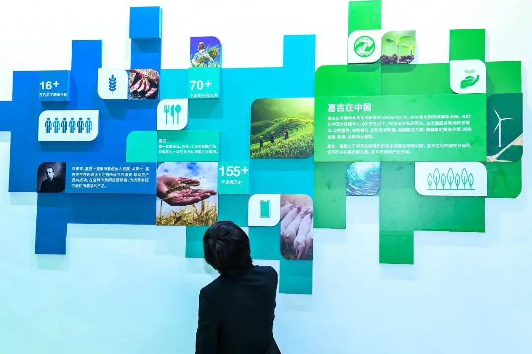 十二生肖谁是强盗，的动物智慧与战略运用