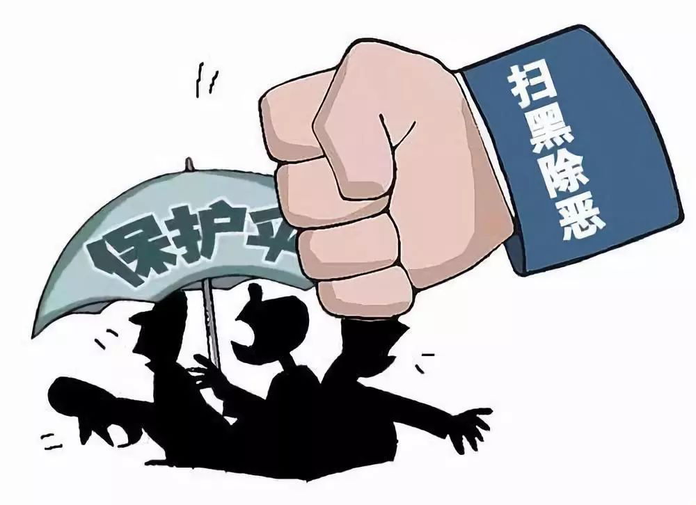 丧家之狗打一正确生肖，成就解释落实