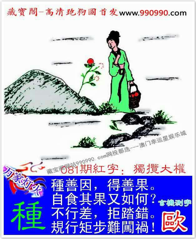 鸡犬相闻打一正确生肖，激励作答落实解释