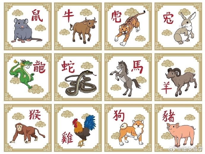 北方生肖有哪些，激励作答落实解释