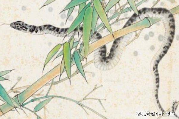 十二生肖智慧大比拼，谁最笨的理想作答与现实解释