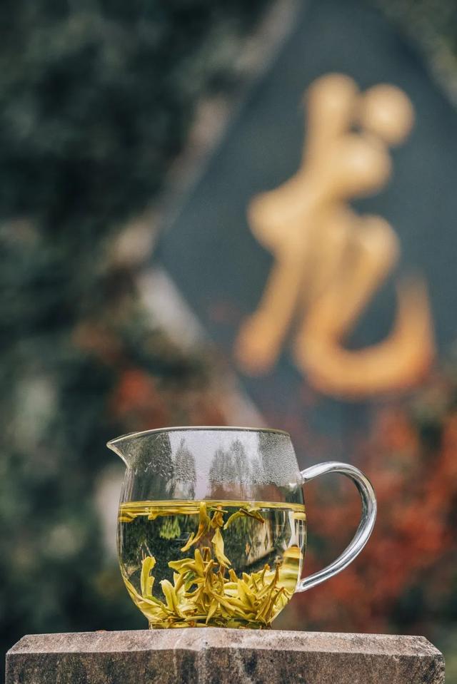 茶与生肖，揭秘属龙的茶选择与品鉴艺术