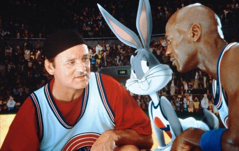 兴旺发达的生肖，兔—通用解释与落实的典范